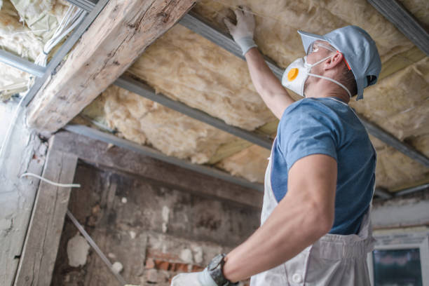 Best Commercial Insulation in Osceola, AR