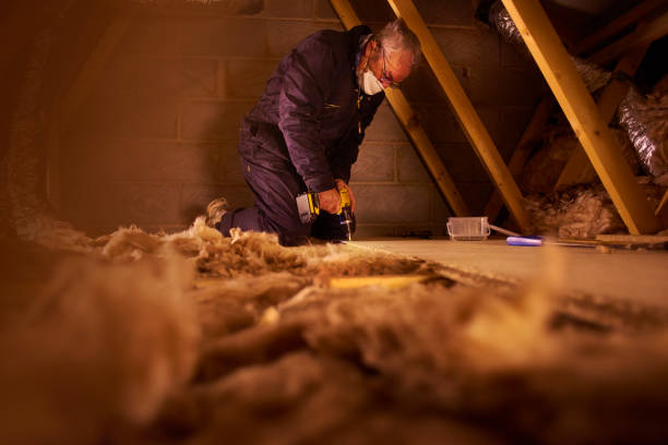Best Types of Insulation in Osceola, AR
