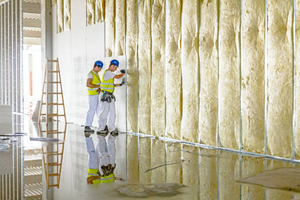 Best Insulation Installation Services in Osceola, AR